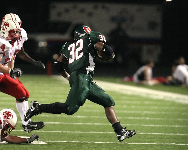 亮丽的色彩 亮丽的色彩